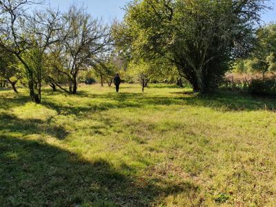 For sale Gujan-mestras 560 m2 Gironde (33470) photo 1