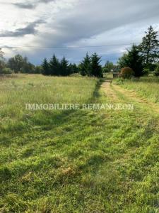 Annonce Vente Terrain Brinon-sur-sauldre 18