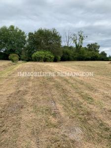 Acheter Terrain 11724 m2 Brinon-sur-sauldre