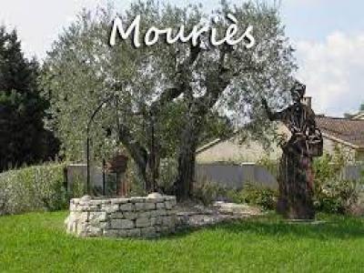 For sale Mouries 3 rooms 80 m2 Bouches du Rhone (13890) photo 3