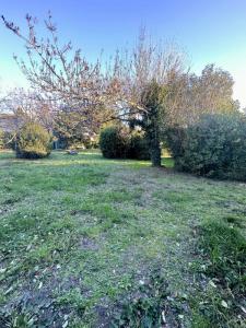 For sale Salon-de-provence 550 m2 Bouches du Rhone (13300) photo 1