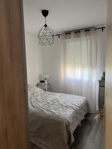 Louer Appartement 49 m2 Nogent-sur-marne