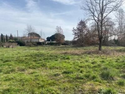 For sale Montauban 1200 m2 Tarn et garonne (82000) photo 1