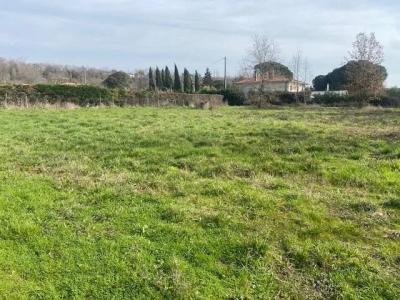 For sale Montauban 1200 m2 Tarn et garonne (82000) photo 2