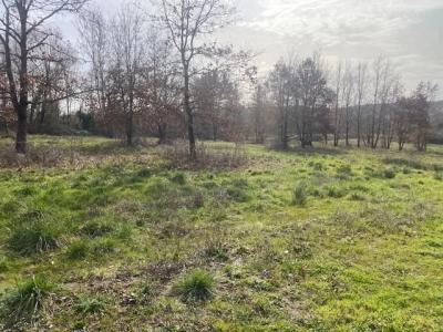 For sale Montauban 1200 m2 Tarn et garonne (82000) photo 3