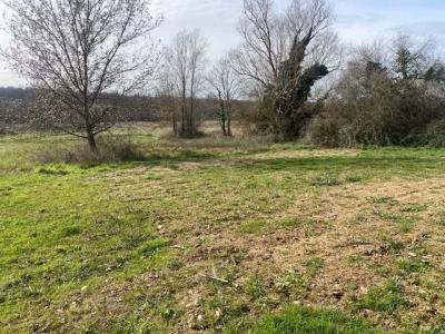 For sale Montauban 1200 m2 Tarn et garonne (82000) photo 4