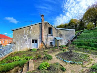 Annonce Vente 5 pices Maison Coiffy-le-haut 52