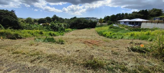 Acheter Terrain Lamentin Martinique