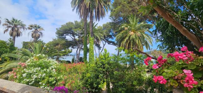 Annonce Vente Prestige Seyne-sur-mer 83