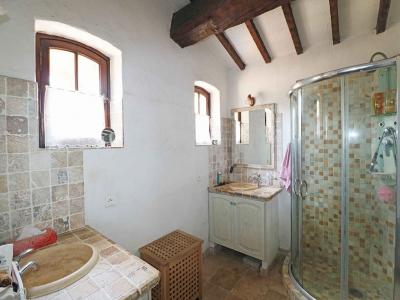 For sale Roquebrune-sur-argens 13 rooms 398 m2 Var (83520) photo 4