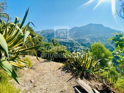 For sale Castagniers 1400 m2 Alpes Maritimes (06670) photo 0