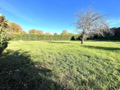 For sale Gourdan-polignan 3075 m2 Haute garonne (31210) photo 2