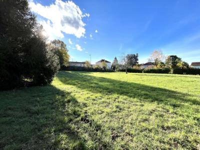 For sale Gourdan-polignan 3075 m2 Haute garonne (31210) photo 4