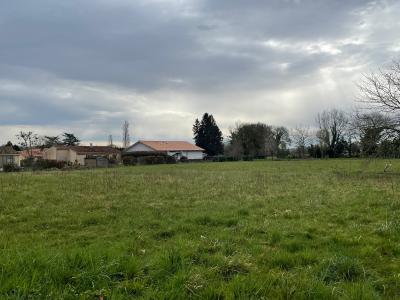 For sale Amou Landes (40330) photo 0