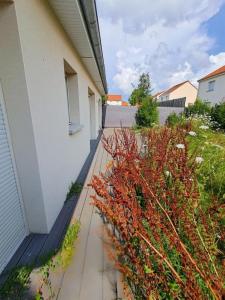 For sale Chalons-en-champagne 5 rooms 90 m2 Marne (51000) photo 3