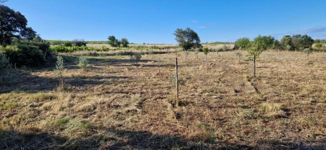 Acheter Terrain Peret 29000 euros