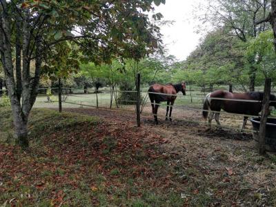 For sale Termes-d'armagnac 12 rooms 380 m2 Gers (32400) photo 2