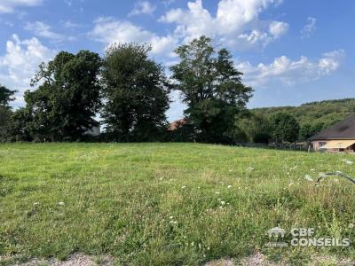 For sale Saint-sernin-du-bois 767 m2 Saone et loire (71200) photo 3