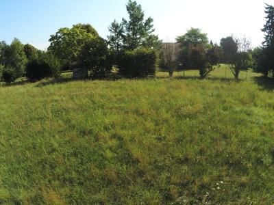 Annonce Vente Terrain Saint-savin 38