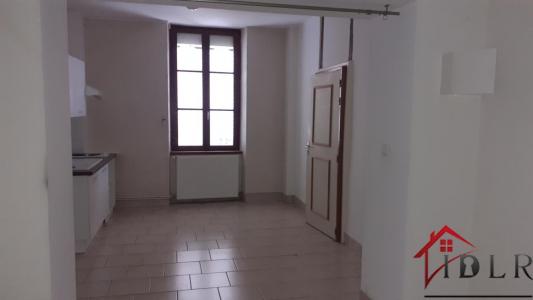 Acheter Maison 450 m2 Bourbonne-les-bains