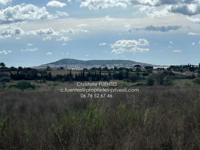 For sale Loupian 11000 m2 Herault (34140) photo 0