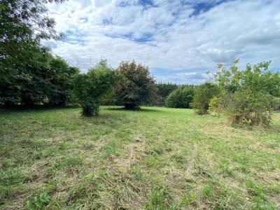 Acheter Terrain 4040 m2 Aubevoye