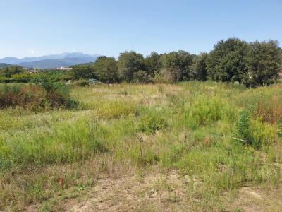 Acheter Terrain Ceret Pyrenees orientales