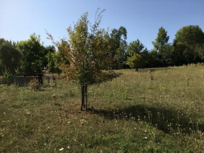 For sale Saint-denis-de-pile 800 m2 Gironde (33910) photo 1