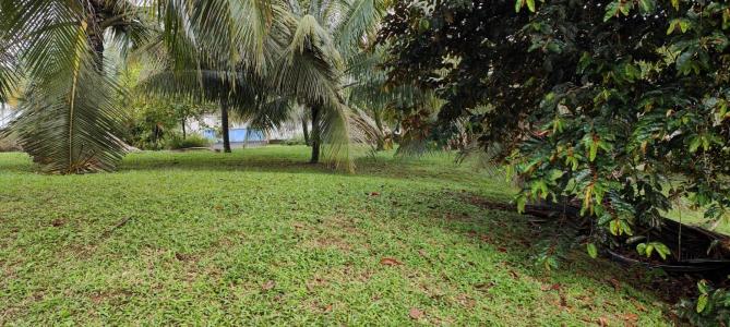 For sale Saint-joseph 620 m2 Martinique (97212) photo 1