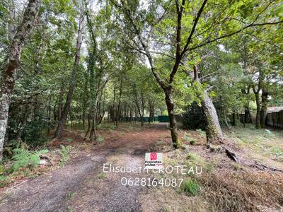 For sale Sanguinet 1677 m2 Landes (40460) photo 0