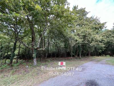 For sale Sanguinet 1677 m2 Landes (40460) photo 1