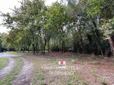 For sale Sanguinet 1677 m2 Landes (40460) photo 2