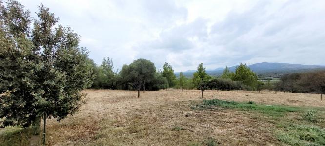 Annonce Vente Terrain Palme 11