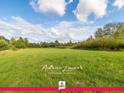 For sale Romorantin-lanthenay 10089 m2 Loir et cher (41200) photo 0