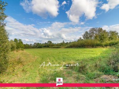 For sale Romorantin-lanthenay 10089 m2 Loir et cher (41200) photo 2