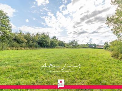 For sale Romorantin-lanthenay 10089 m2 Loir et cher (41200) photo 3