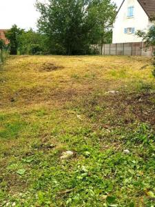 For sale Chailly-en-brie 766 m2 Seine et marne (77120) photo 1