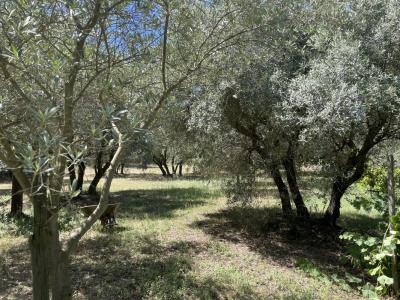 Acheter Terrain Alleins Bouches du Rhone