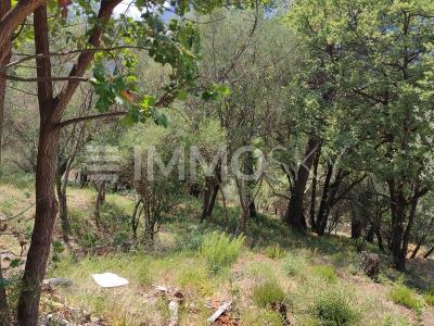 For sale Saint-martin-du-var 1026 m2 Alpes Maritimes (06670) photo 1