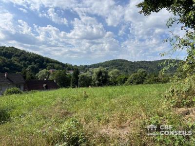 For sale Saint-sernin-du-bois 1636 m2 Saone et loire (71200) photo 3