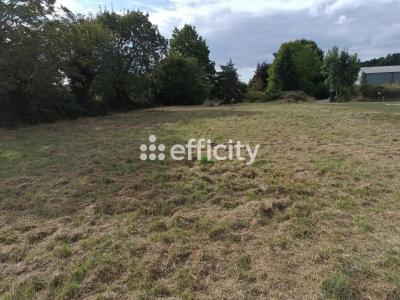 Annonce Vente Terrain Faye-sur-ardin 79