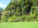 For sale Land Etueffont  1177 m2