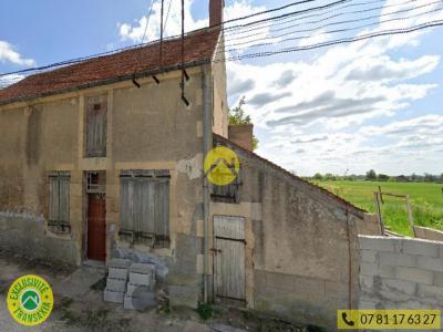 Annonce Vente 2 pices Maison Sancoins 18