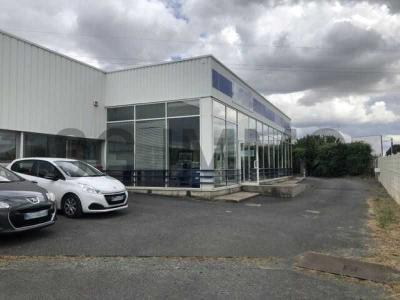 Acheter Local commercial 1309 m2 Niort