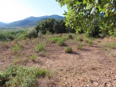 Acheter Terrain Collobrieres 180000 euros