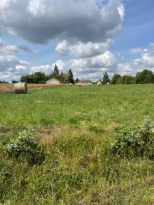 For sale Beaulieu-sur-loire 2000 m2 Loiret (45630) photo 3