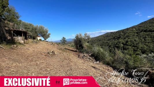 For sale Caixas 6800 m2 Pyrenees orientales (66300) photo 1