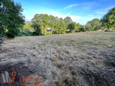 For sale Tence 1593 m2 Haute loire (43190) photo 2