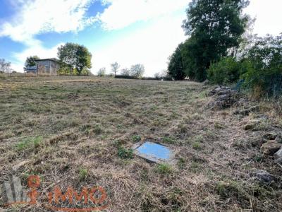 For sale Tence 1593 m2 Haute loire (43190) photo 3