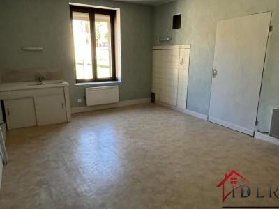 Acheter Immeuble 160 m2 Bourbonne-les-bains